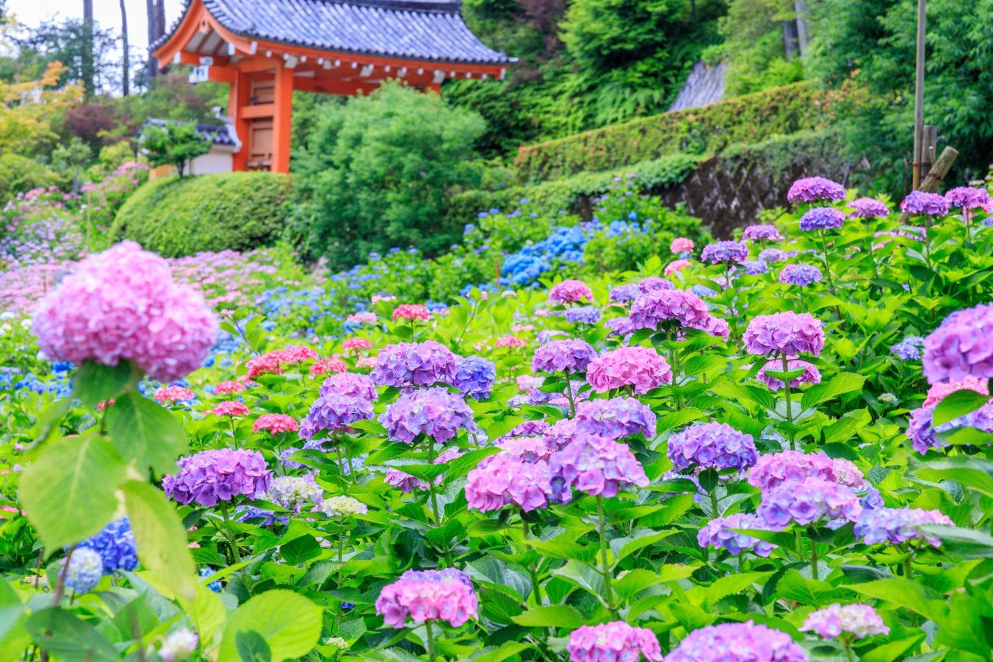 Mimaru Suites Kyoto Central Ngoại thất bức ảnh